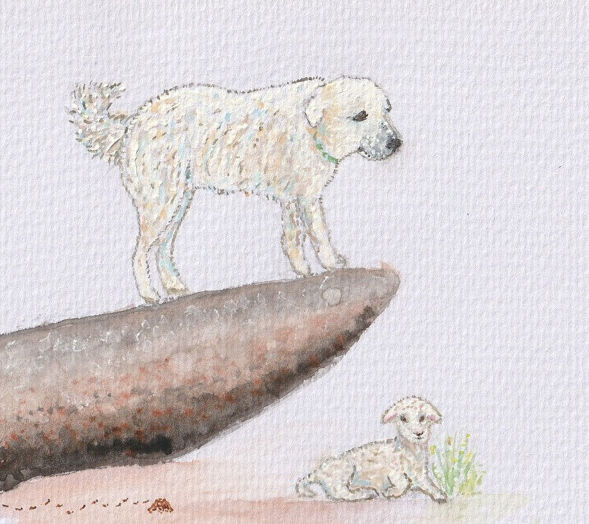 Max the Mareema and the Little Lost Lamb