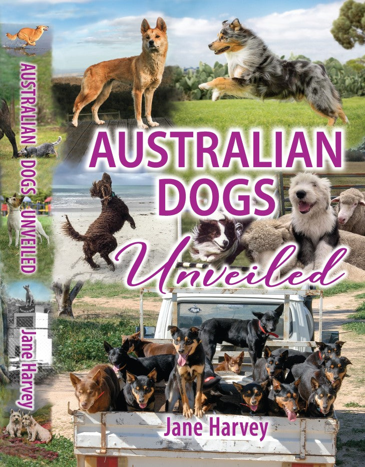 Australian Dogs Unveiled