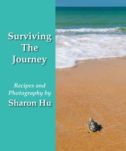Surviving The Journey: Recipes and Photography