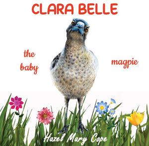 Clara Belle The Baby Magpie