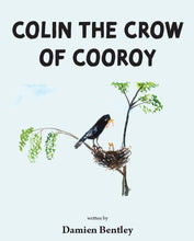 Colin the Crow of Cooroy