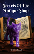 Secrets Of The Antique Shop