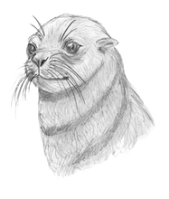 The Tasmanian Adventures of Paloona the Penguin