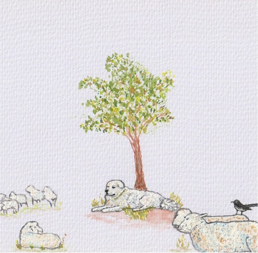 Max the Mareema and the Little Lost Lamb