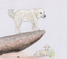 Max the Mareema and the Little Lost Lamb