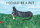 I Could Be a Pet