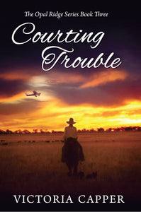 Courting Trouble (Book Three)
