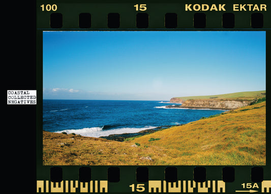 Coastal Collected Negatives