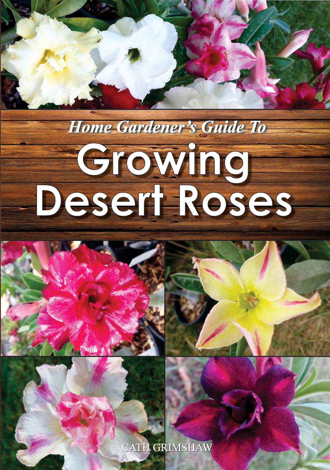 Home Gardener's Guide to Growing Desert Roses