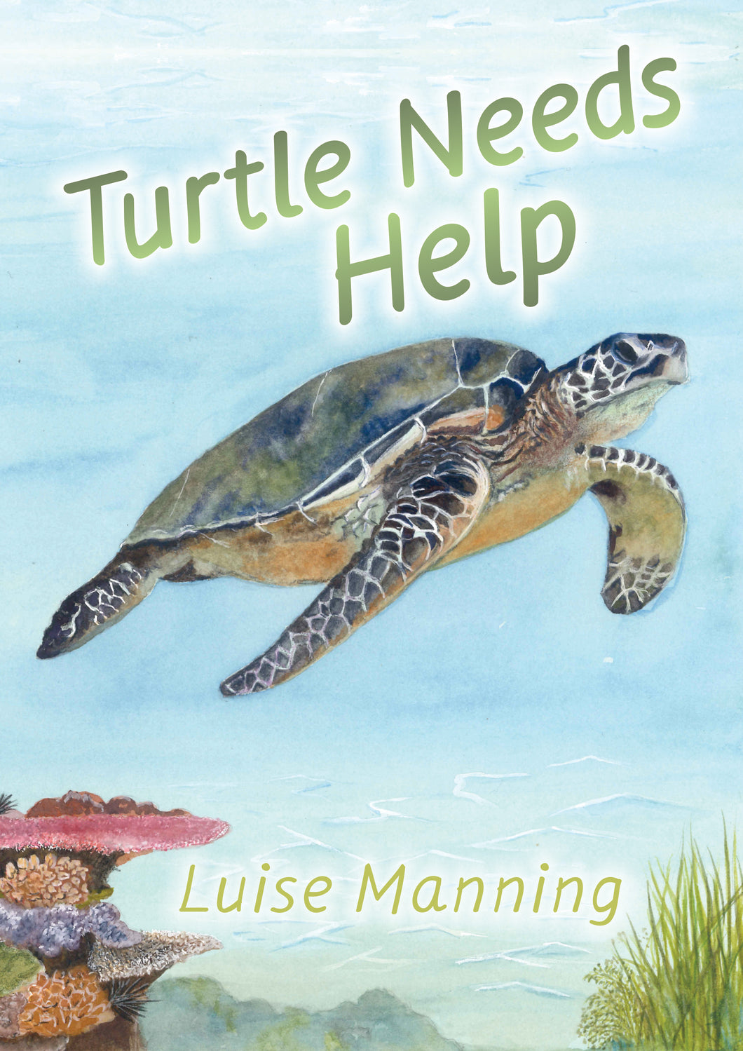Turtle Needs Help