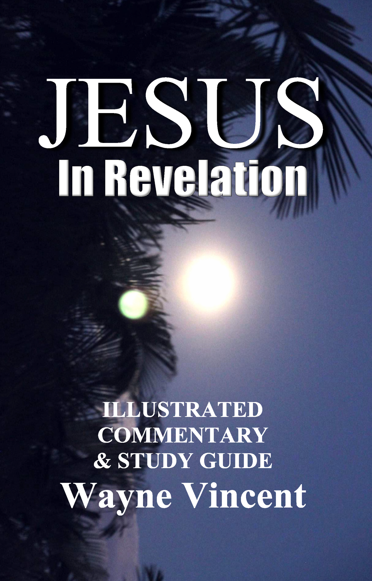 Jesus in Revelation